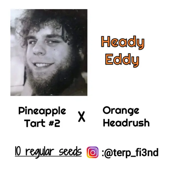 Heady Eddy