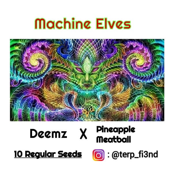 Machine Elves - terpfi3nd genetics