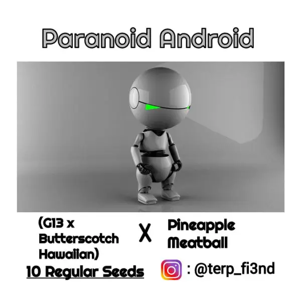 Paranoid Android