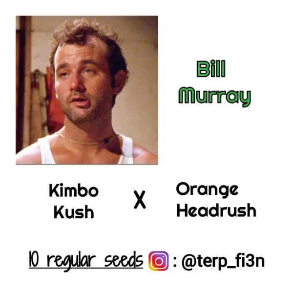 Bill Murray