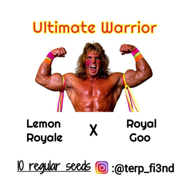 Ultimate Warrior
