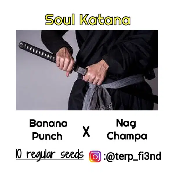 Soul Katana