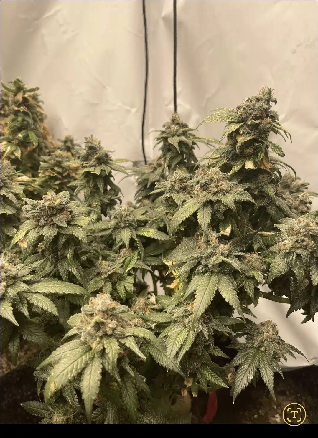 Deep Chunk F14 - Image 2