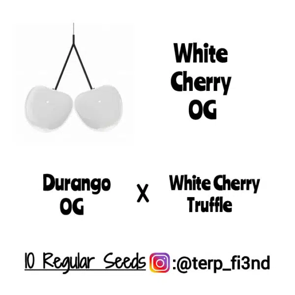 White Cherry OG