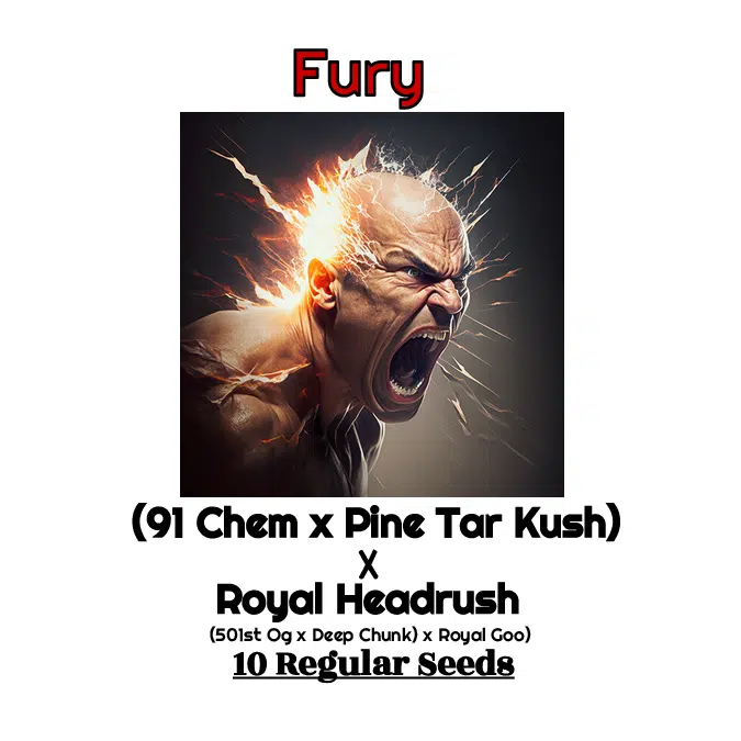 The Fury