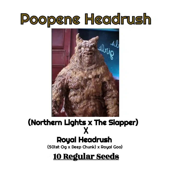 Poopene Headrush