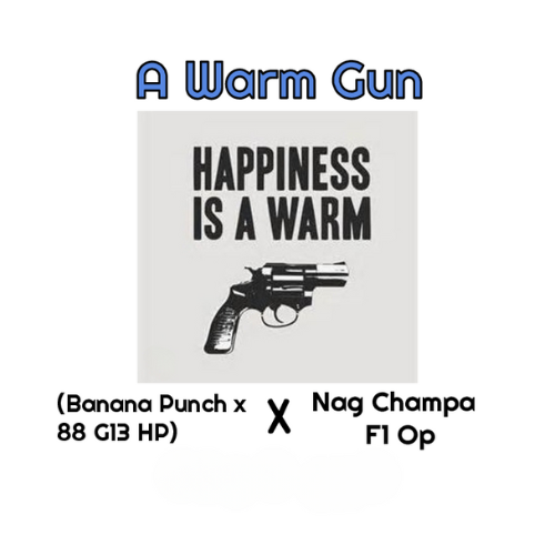 A Warm Gun