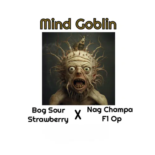 Mind Goblin