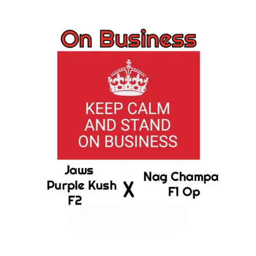 On Business
