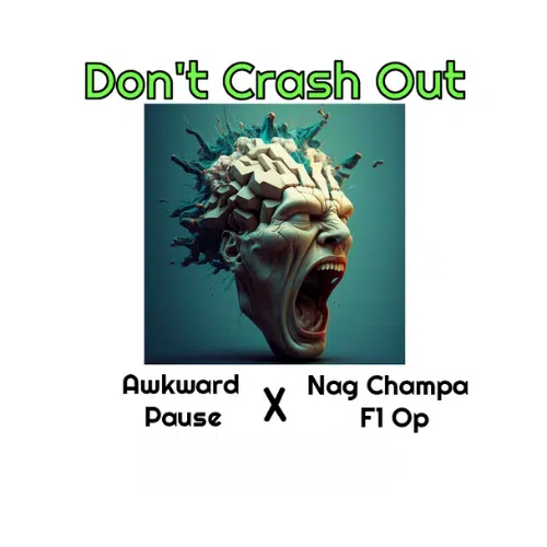 Don't Crash Out