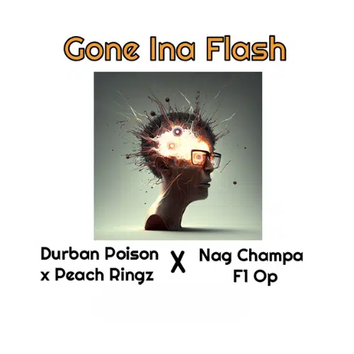 Gone Ina Flash