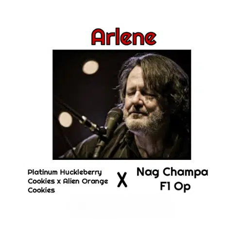Arlene