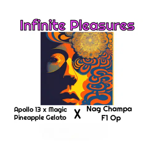 Infinite Pleasures
