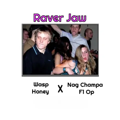 Raver Jaw