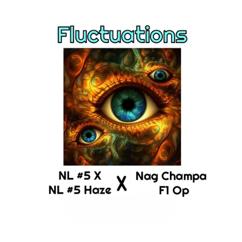 Fluctuations
