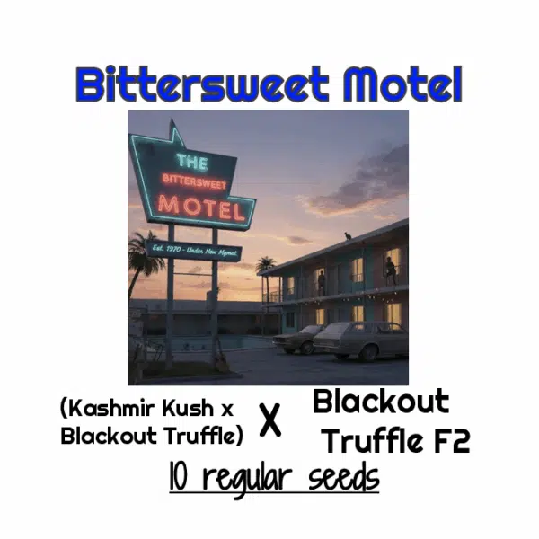Bittersweet Motel