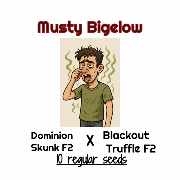 Musty Bigelow