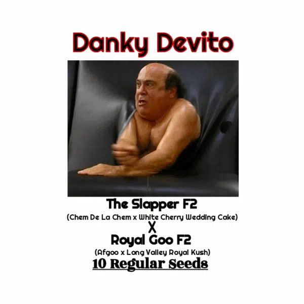 Danky Devito