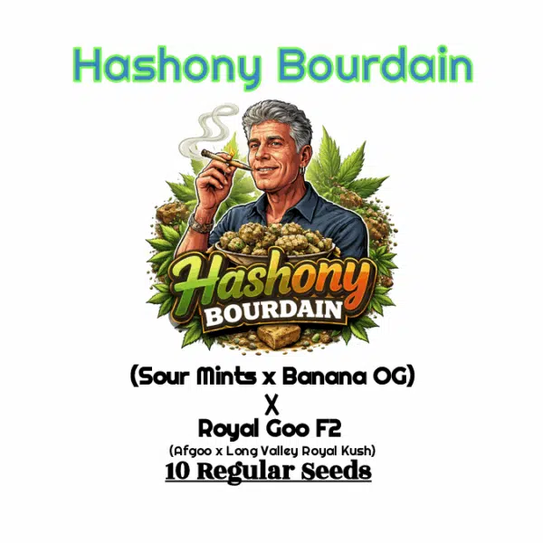 Hashony Bourdain