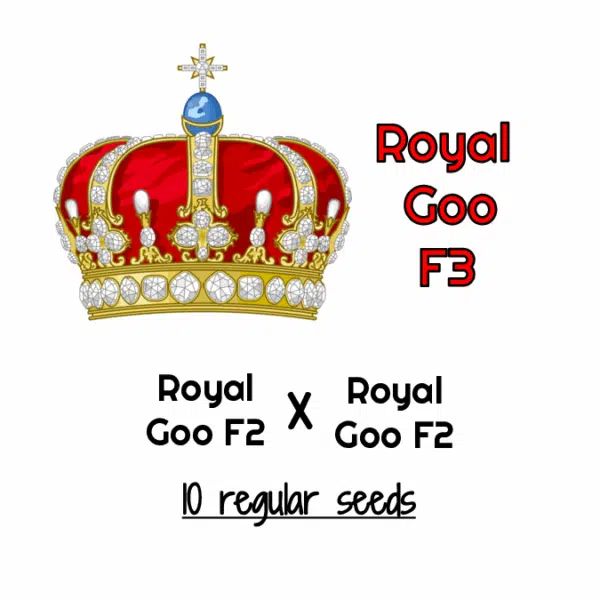 Royal Goo F3