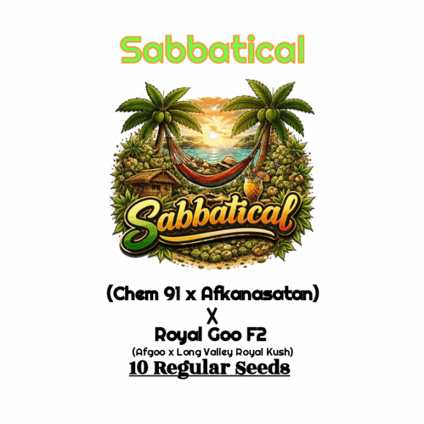 Sabbatical