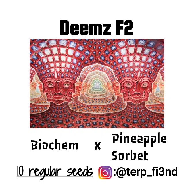 Deemz F2