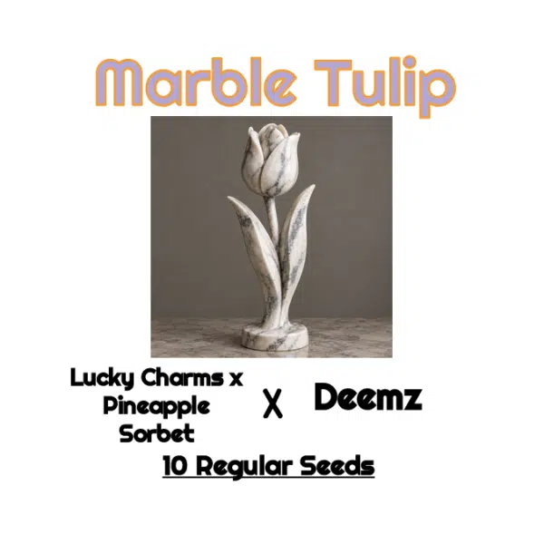 Marble Tulip