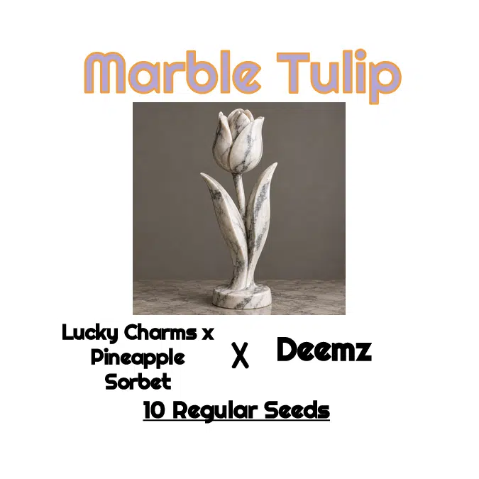 Marble Tulip