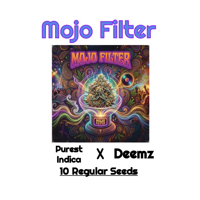 Mojo Filter